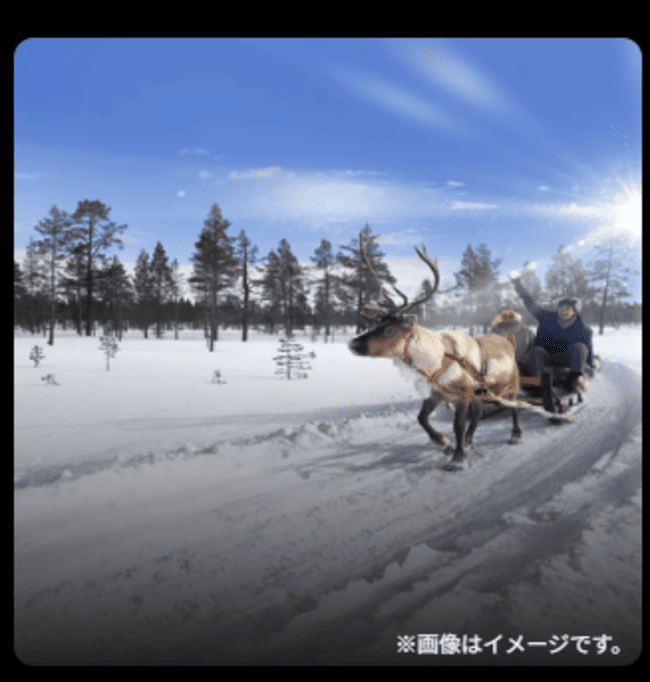 サーミ族の伝統が息づくソリ体験