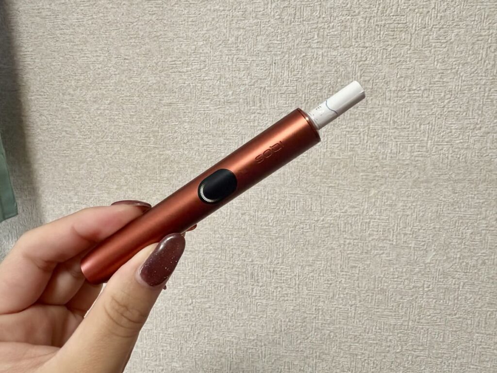 テリア クリア レギュラー
