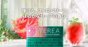 テリア・ブロッサム・パール