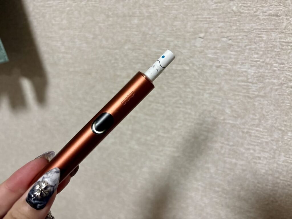 テリアブラックミントパール