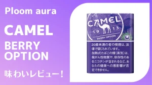 キャメル・ベリー・オプション