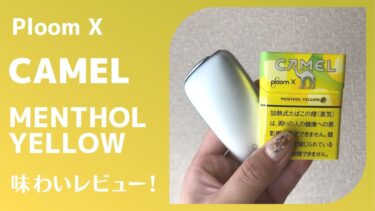 【PloomX】キャメル・メンソール・イエローの味わい｜レモン感は少なめだが爽快感ある苦味の強い大人な味わい