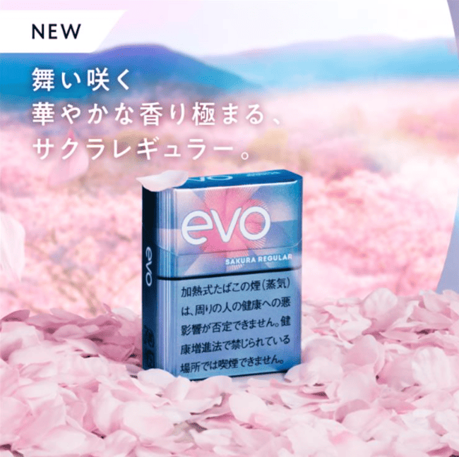 エボ・サクラ・レギュラー