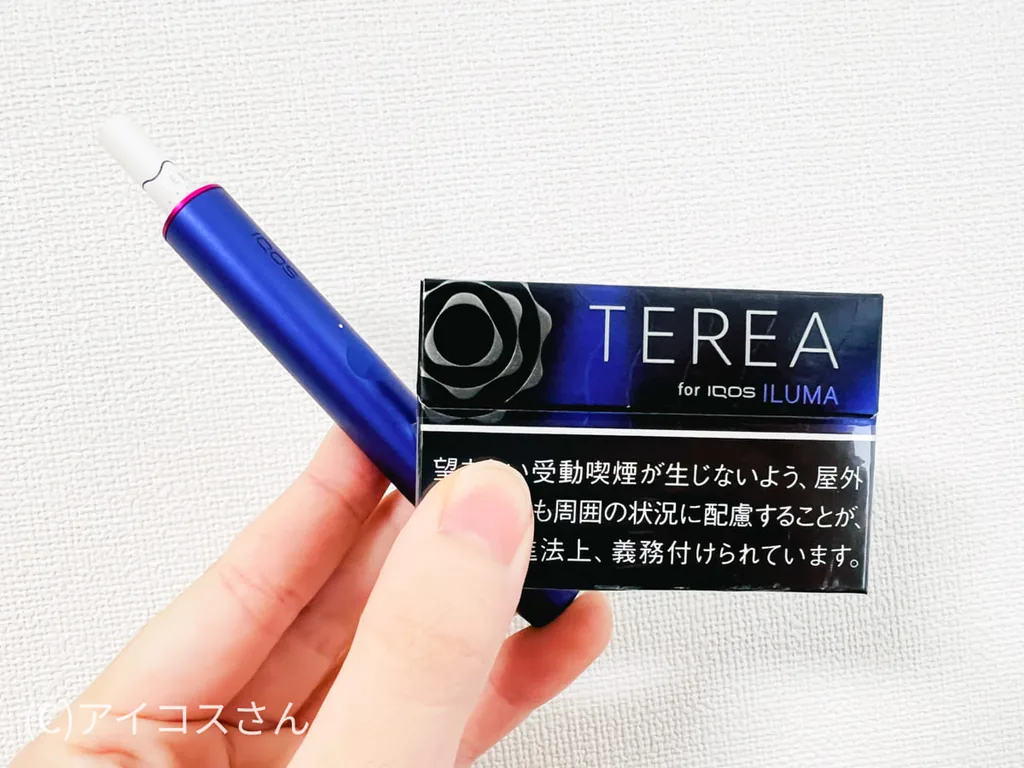 直接比較すると、「テリア ブラック パープル メンソール」の方がマイルドな味わいに感じた。
