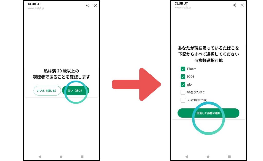 年齢確認を済ませ、アンケートに回答する。