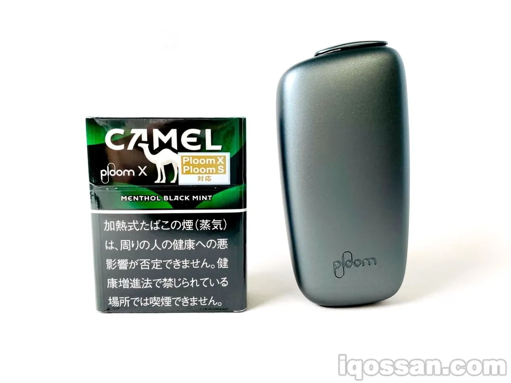 強い冷涼感と共に、独特な風味を楽しめるフレーバーでした。