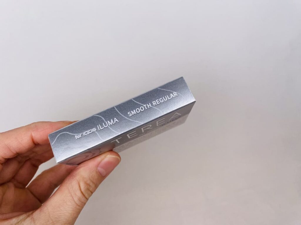 テリア スムース レギュラー