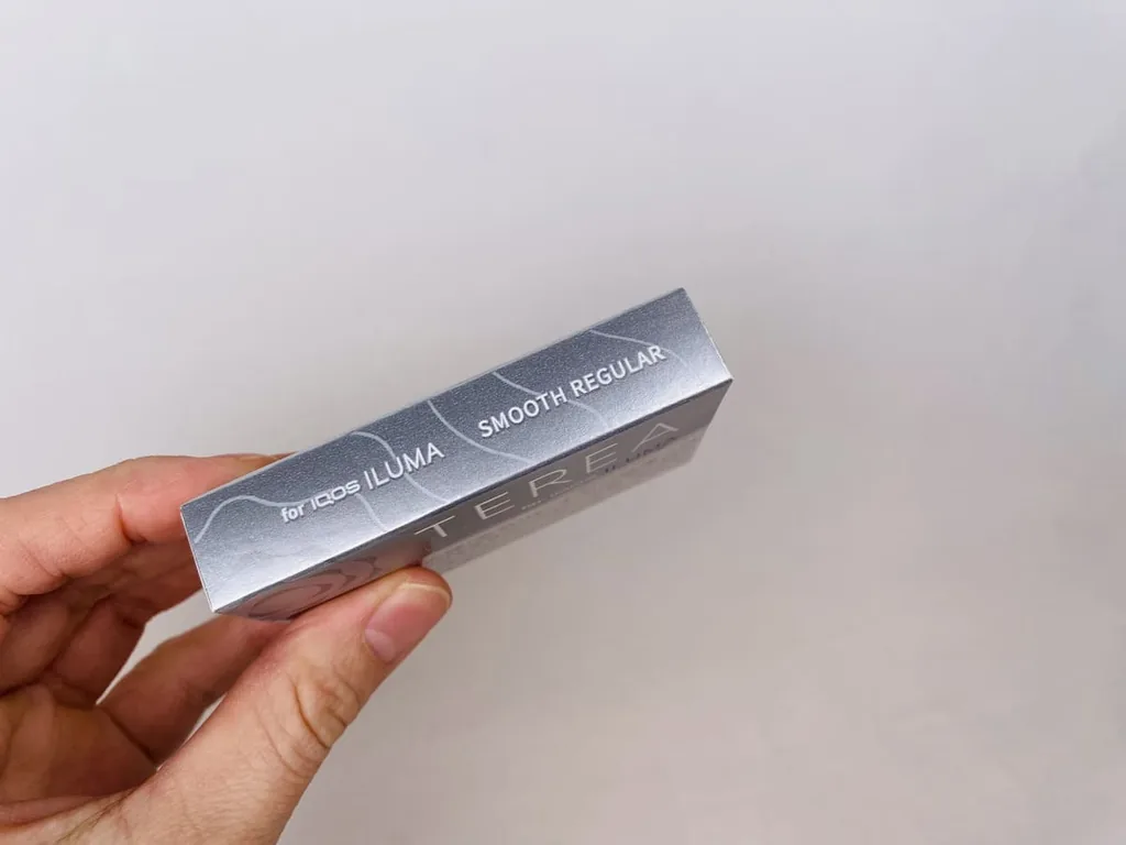 テリア スムース レギュラー