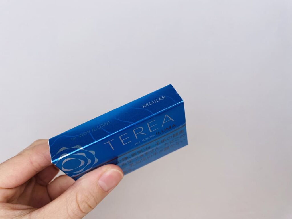 テリア レギュラー